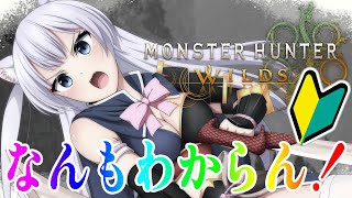 初見さん大歓迎【🔰モンハンワイルズ】かわいい装備つくりたい！虫コワイ！なVtuberのソロモンハンを見守る会場【 #monsterhunte