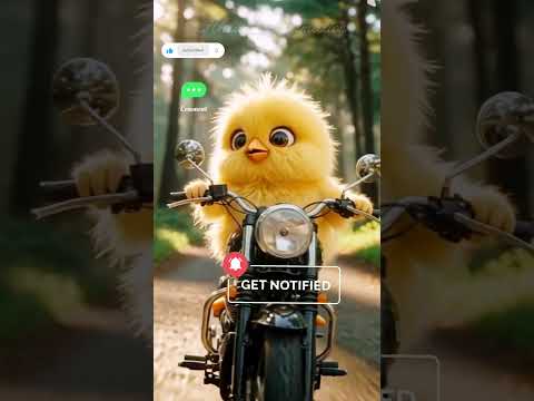 Have You Ever Seen a Chick Riding a Bike? 🐥🏍 | Dudi Dudi Dam Dam  #funmoment #cute #shortsfeed