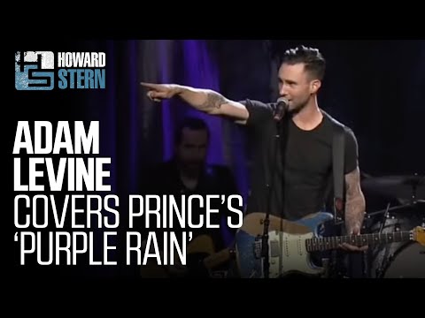 Adam Levine Performs