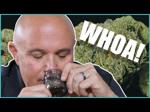 Whoa-Si-Whoa by Top Shelf Cultivation | Strain Review