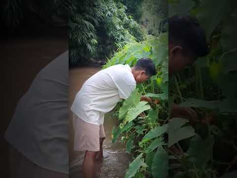 Wakna Ta.gong Rata😀❤️#lovesongs #garoshorts