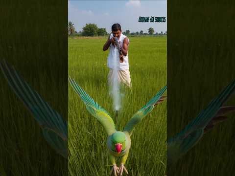 The helpless bird was comforted by the little kitten standing beside it.#shorts