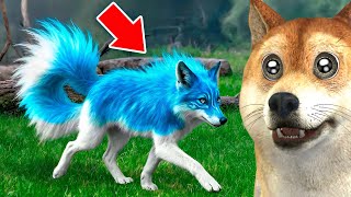 Animais RAROS que REALMENTE existem!