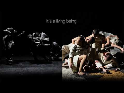 Skånes Dansteater, BEVARA RÖRELSE: Franzén/Nuutinen, röster från processen / process reflections