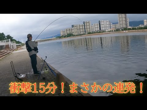 #410【エビ撒き】衝撃の15分!!2人で驚きの結果！この短時間に何が起きたのか？