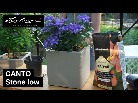 CANTO Stone low | LECHUZA