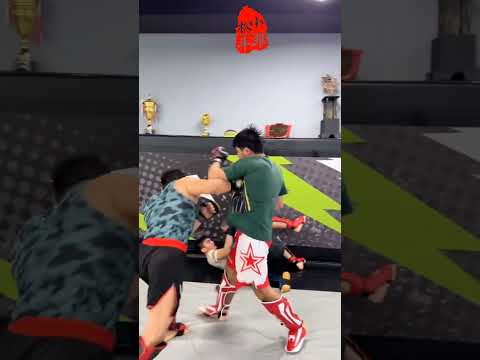 搏击对练#格斗 #自由搏击 #泰拳 #日常训练 #体育精神