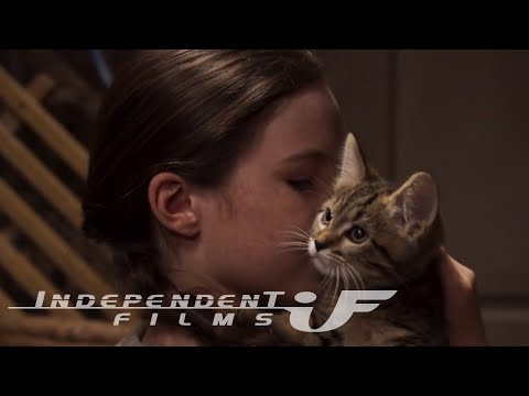 Mijn kat en ik'