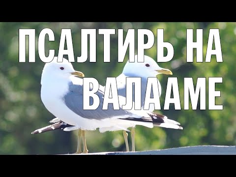 ПСАЛТИРЬ В ВАЛААМСКОМ МОНАСТЫРЕ (Эфир 19 июня 2024 года)