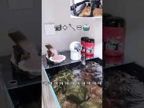 숟가락 + 홈캠 = 무인 물고기밥로봇 ㅋㅋㅋㅋㅋㅋ