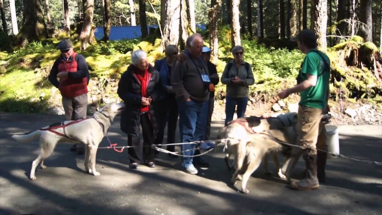 Sled Dog Discovery & Musher's Camp - Juneau, Alaska - YouTube