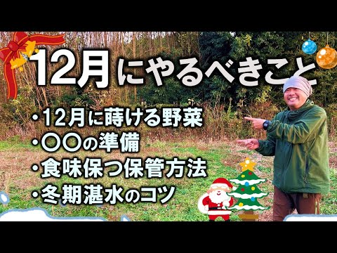 【自然農法／家庭菜園】12月にやるべきこと