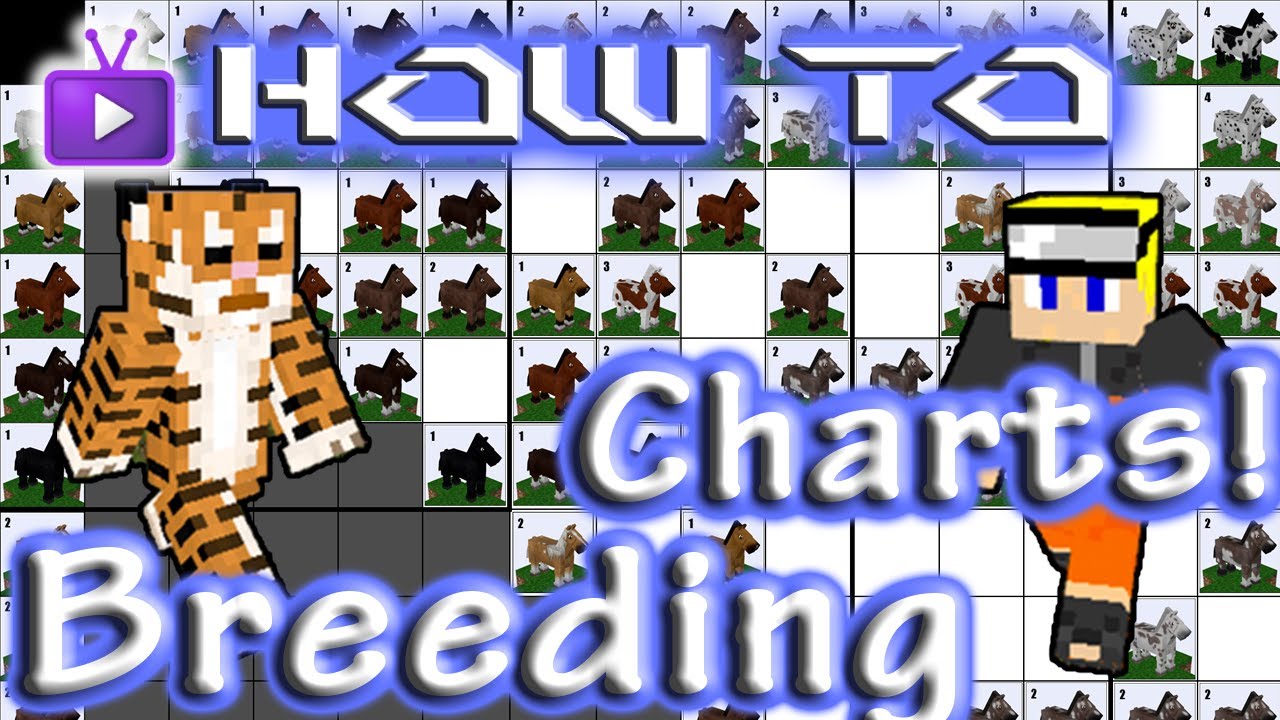 Minecraft How To Mo' Creatures Reading Horse Breeding Charts! YouTube