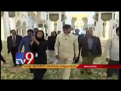 AP CM Chandrababu in Abu Dhabi,visits Sheikh Zayed Mosque