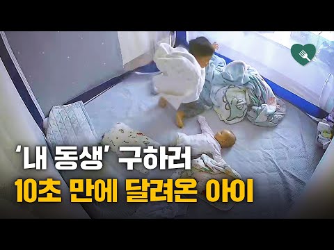 '내가 갈게!'···동생 구하러 10초 만에 달려온 아이