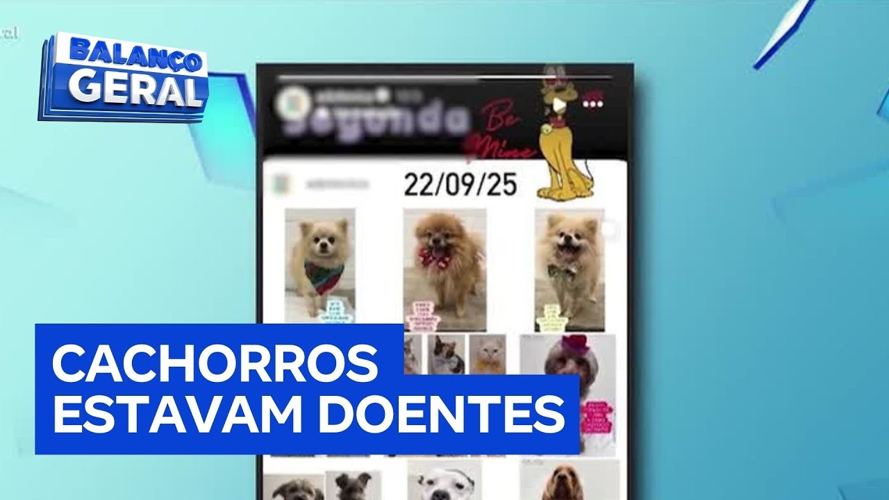 Tutores denunciam centro de adoção de cachorros por entregar animais doentes