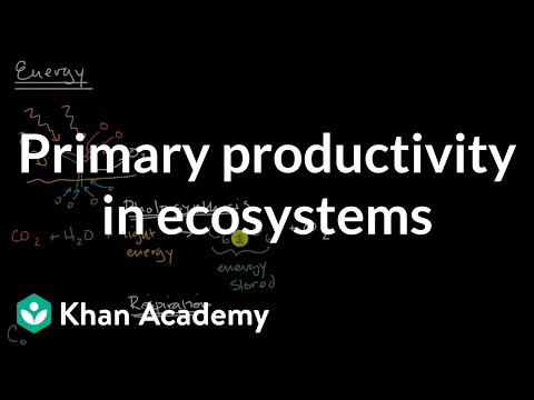 Primary productivity in ecosystems