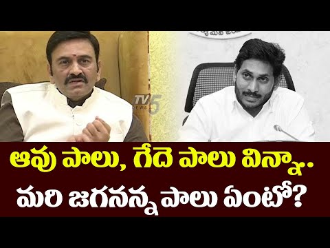 MP Raghu Rama Krishna Raju's satirical comments on Jagananna schemes MP Raghu Rama Krishna Raju's satirical comments on Jagananna schemes