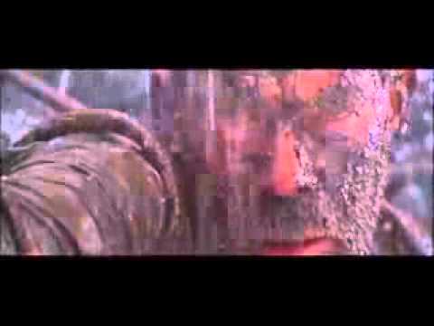 Hell in the Pacific'