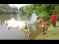 Watch acrobatic bull make a splash as it dives into river to cool down