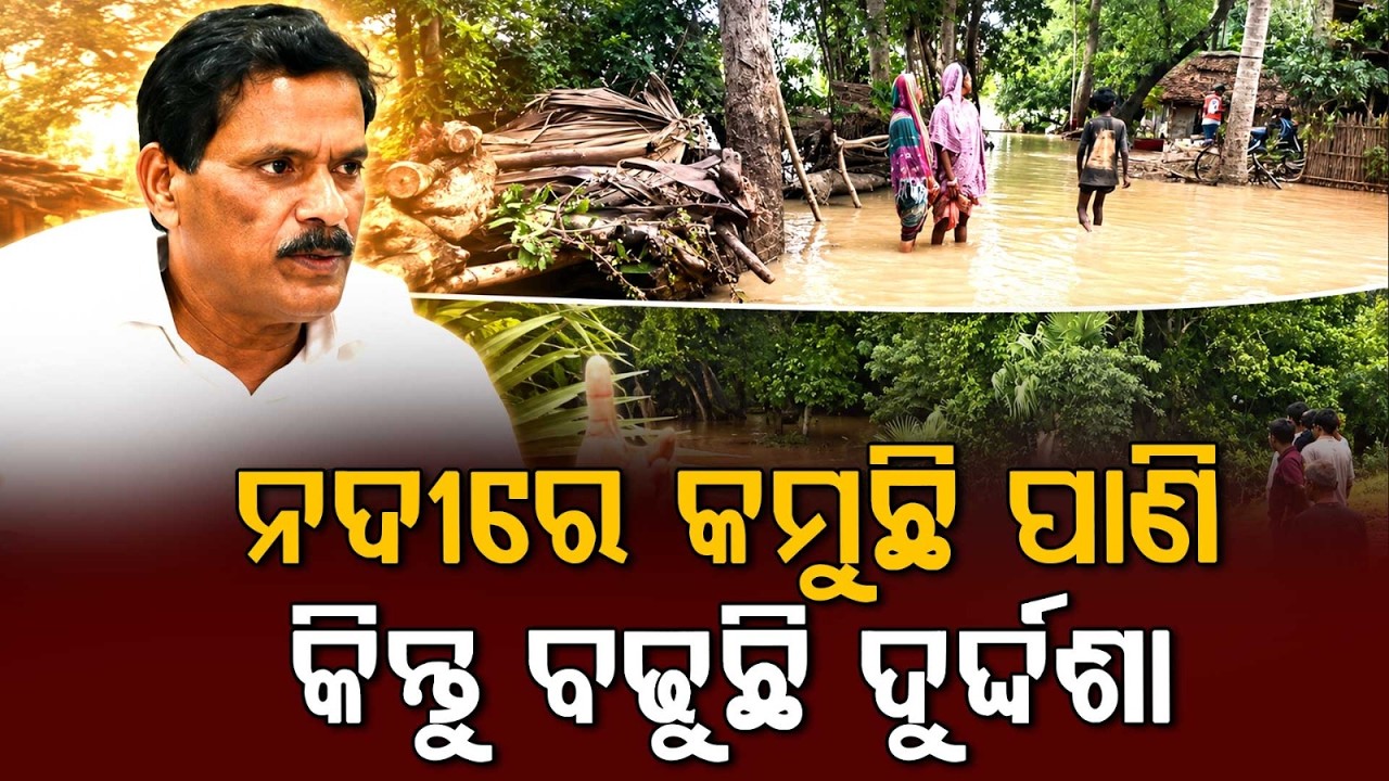 Odisha Flood Alert: Water Level Rises In Mahanadi & Daya River | Argus News