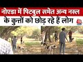 Noida News: देश में कुत्तों की किन नस्लों पर लग सकता है प्रतिबंध | Dog Act | Aaj Tak News
