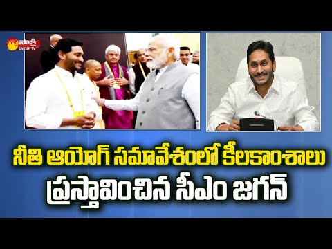 CM Jagan explained in Niti Aayog meeting on agricultural, education sector