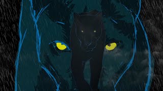 The Band of Heathens - Black Cat (Stranger) | Official Music Video