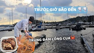 Before the big storm, still pulled a full crab cage - Unexpectedly the last batch was a big hit! ðª️ð¦