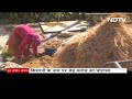 Uttarakhand में प्रधानमंत्री कृषि सिंचाई योजना में Crores का Scam, देखें NDTV की Report  - 04:39 min - News - Video