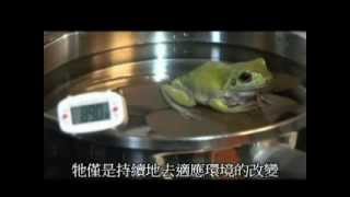溫水煮青蛙-中文字幕-無噁心畫面