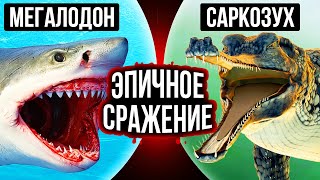 Мегалодон против гигантского доисторического крокодила: кто победит?