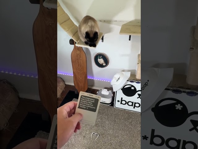 New Phone Who Dis?