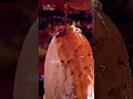 విశేష ద్రవ్యాలతో అద్భుతమైన అరుదైన స్పటిక లింగాభిషేకం #spatikalingam #karthikamasam #bhakthitv  - 00:49 min - News - Video