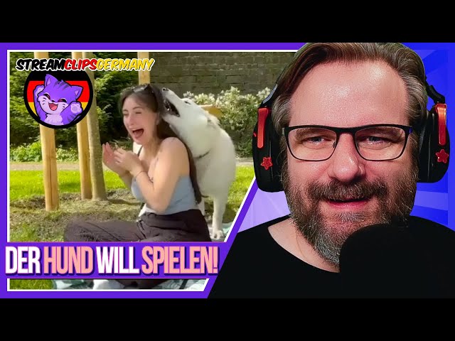 Wo isn das n Hase? - Gronkh Reaction
