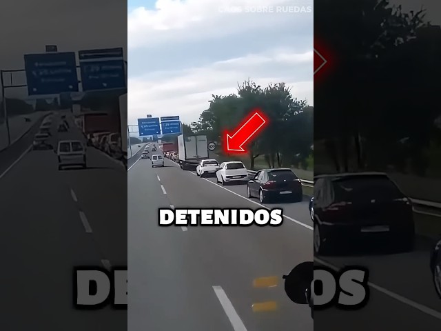 Este Camionero Engaño A Todos En La Carretera 😂
