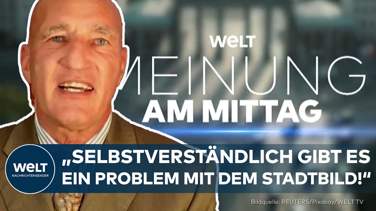 MEINUNG: Merz ein Rassist? - "Ich schlage wirklich nur noch die Hände über dem Kopf zusammen!"