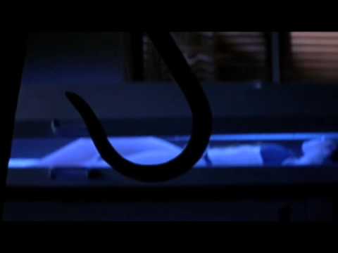 I Still Know What You Did Last Summer'