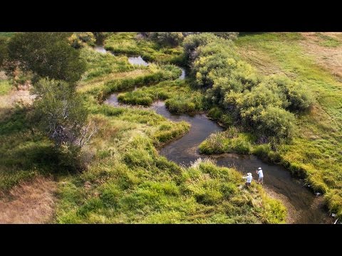 Vidéo de l’hébergement