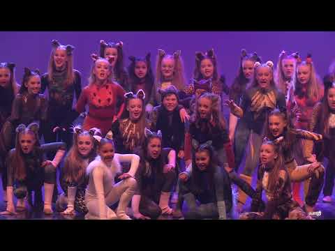 JENINA'S DANCE WORKSHOP (Tas)
