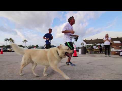 Race Video