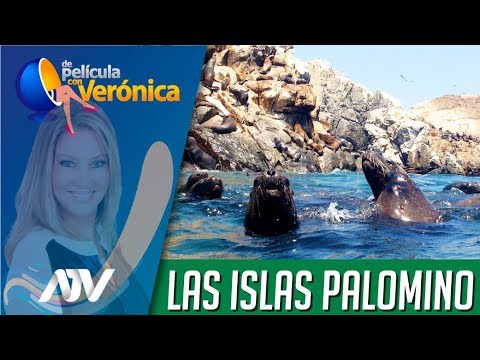 video Paseo en barco por las Islas Palomino