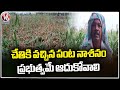 Farmers Suffering With Crop Loss Due To Sudden Rains | Medak | V6 News