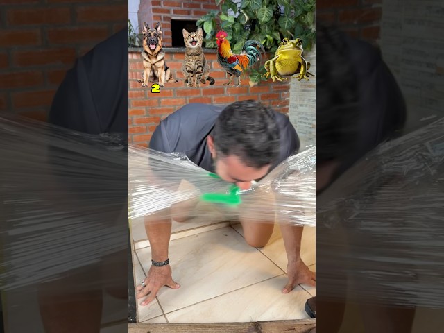 Qual animal bravo vai quebrar a parede?!😱 #shorts #challenge