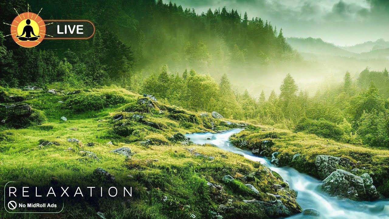 🔴 Relaxing Meditation Music for Sleep 24/7 🌿3176, Healing Stress and Anxiety, Spa Music, Study Music