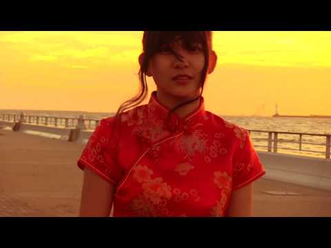 SAPPY『Phoenix』