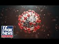 Bombshell report rewrites COVID outbreak timeline