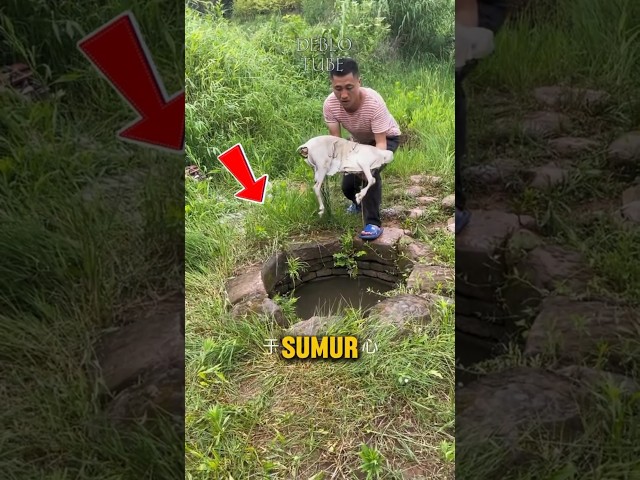 Ternyata isi sumur tua ini mengejutkan! #shorts