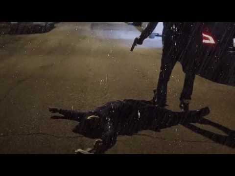 Meek Mill - Tony Story 2 Video