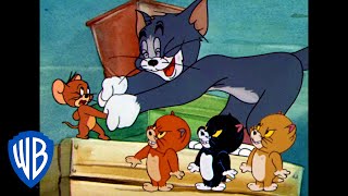 Tom a Jerry - Přátelé nebo nepřátelé?